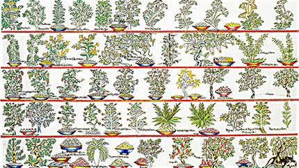 藏藥材資源分布、發(fā)展史